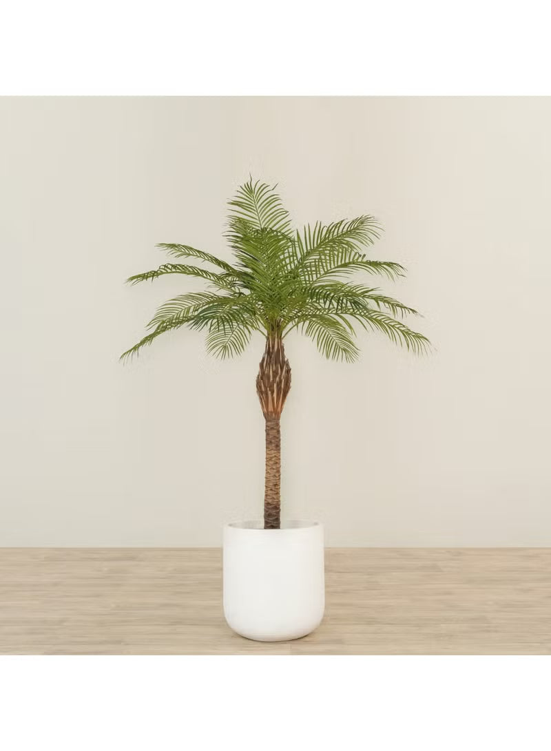 Artificial Phoenix Palm with Pot