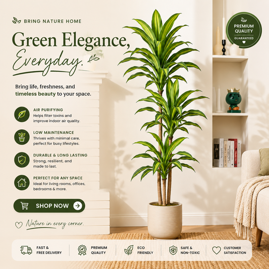 Artificial Dracaena Plant